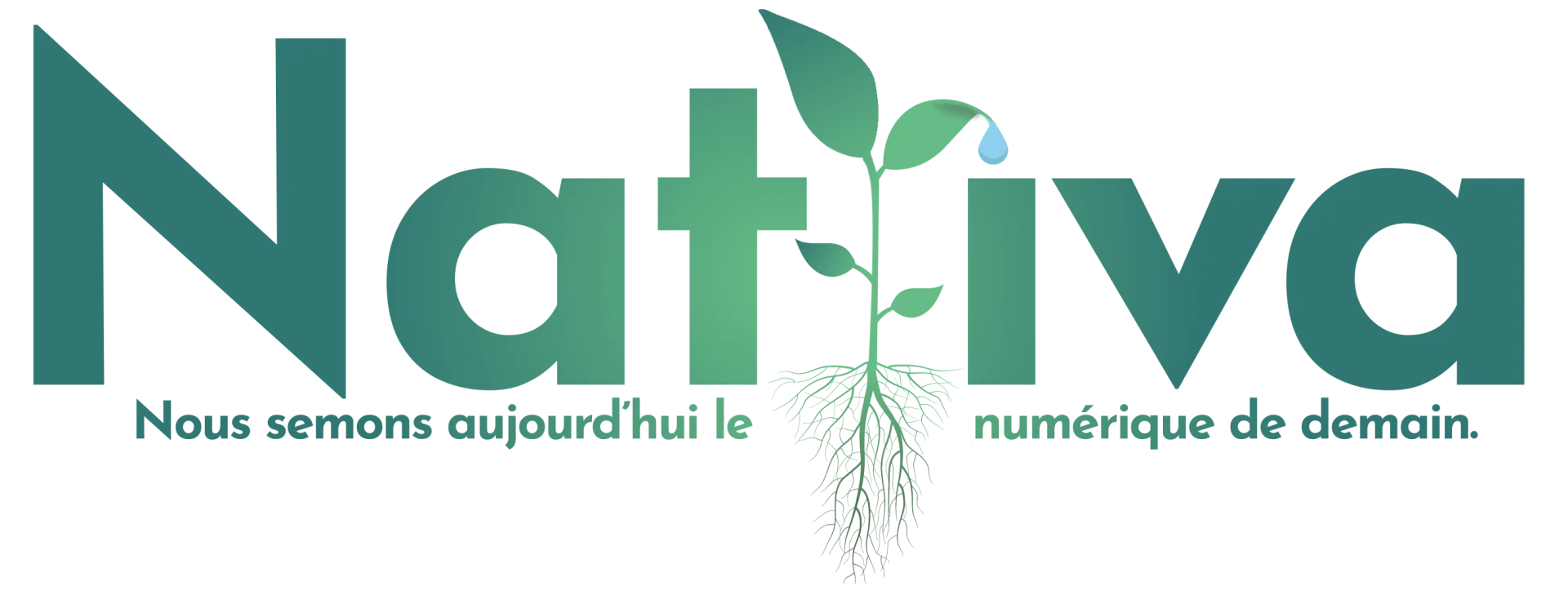 Logo de l'agence Nativa. On y voit au milieu une plante avec des racines.